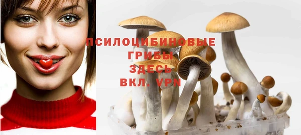 прущие крисы Горнозаводск